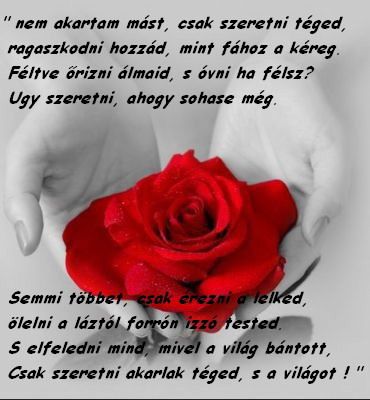 kép melyen idézet van